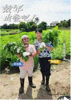 龙部落电影网资讯：访谈综艺提问节奏拆解